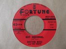 DOCTOR ROSS & THE ORBITS - CAT SQUIRREL/THE SUNNYLAND - U.S. 45