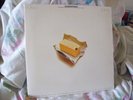 BARBRA STREISAND --  Butterfly (COLUMBIA #33005 / LP) QUADRAPHONIC -- LIKE NEW