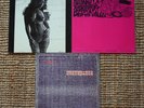 Sonic Youth Death Valley '69, Master= Dik, Halloween/Flower 12