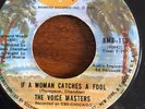 Northern Soul - VOICE MASTERS - DANCE RIGHT INTO MY HEART / IF A WOMAN CATCHES A