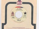 Blues Rocker Black Rockabilly 45 - RAY SHARPE - Monkey's Uncle / Linda Lu