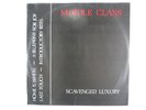 Estate Sale 1980 Middle Class Scavenged Luxury 45 RPM Vinyl Record VG+