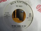 SAGES IN THE BEGINNING GARAGE / PSYCH 45 WLP RCA 8760  LISTEN  PRE VANITY FARE?
