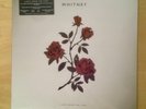 Light Upon The Lake by Whitney LP on Transparent Red Vinyl with MP3 Sealed