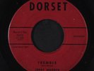 JERRY WARREN: Tremble / Rompin' 45 (tough one, plays great ) Oldies