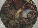 Spyro Gyra picture disc LP vinyl album record Morning Dance USA promo 9004