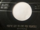 RARE DOO-WOP 45/ THE BLUE DOTS 