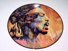 JIMI HENDRIX - PURPLE HAZE / LIVE 1970 - LP VINYL PICTURE DISC RARE NEW N3504