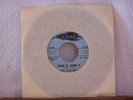 The Pistons Shake it,shake it/Shake that thing(Rare)orig.1965 Dore 732 Promo NM