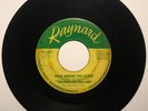 Fabulous Mad Lads on Raynard | Rare 1964 WI Garage/Rockabilly+Theremin **HEAR**