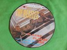 The Beatles - Please Please Me - Picture Disc - Vinyl Album - Rare Version