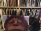 Where The Wild Things Are Soundtrack Rare Vinyl LP Mint  Karen O Yeah Yeah Yeahs