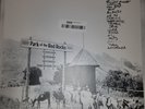 Live At Red Rocks 8.15.95 DAVE MATTHEWS BAND -VINYL -  FREE SHIP - NO TAX