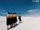Wye Oak: The Louder I Call, The Faster It Runs LP