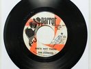 THE ZOMBIES She's Not There / You Make Me... 45 Vinyl Parrot PROMO NM H-369