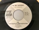 THIRTEENTH FLOOR ELEVATORS  