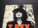 T. Rex 12