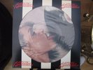 blondie parallel lines picture disc lp.