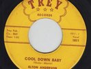 Elton Anderson Cool Down Baby / Secret Of Love ORIGINAL US Vinyl Single 7inch