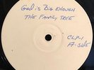FAMILY TREE God Is Big Enough TEST PRESS Julius Brockington SOUL FUNK GOSPEL MP3