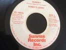 Sandy's Gang ?– Hungry. 45 RPM Record 70's Disco/Funk. Rare