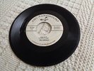 DOOWOP GROUP THE CORVELLS  DAISY/TAKE MY LOVE ABC PARAMOUNT 10324
