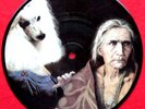 Nirvana Picture Disc Record 7