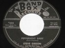 Steve Gibson and The Red Caps 7