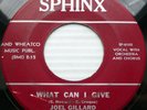 JOEL GILLARD VG++ SPHINX POPCORN 45 WHAT CAN I GIVE / MAKIN LOVE TO YOU ws1024
