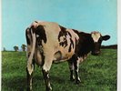 Pink Floyd - Atom Heart Mother LP - Harvest VG+