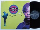 DAS EFX Dead Serious EAST WEST LP germany