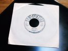 Randy & The Radiants: Peek-A-Boo/Mountain's High 1965 Sun 395 (EX)