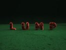 |es2050900| Lump - Curse Of The Contemporary (Rsd 2018) [Vinilo]  Nuevo