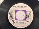 northern SOUL CROSSOVER DON GARDNER WERE GONNA MAKE IT  DBIG VG ++ US ORIGINAL