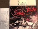 SONIC YOUTH - EVOL LP CLEAR VINYL HARD ROCK INDIE GRUNGE NIRVANA MUDHONEY PIXIES