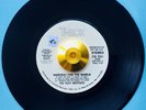 *** THE ISLEY BROTHERS *Demo** HARVEST FOR THE WORLD *NORTHERN SOUL FUNK CLASSIC