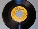 NEIL YOUNG & CRAZY HORSE Like A Hurricane 1977 Reprise promo 45 1391 folk rock E