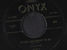 DALES: If You Are Meant To Be / Lonely Woman, Lonely Man 45 Vocal Groups