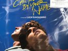New Call Me by Your Name Soundtrack 2x LP VINYL Limited Edition Blue Color Rare