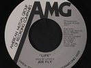 JOE FLY: Life / Lose You To A Lie 45 (interesting late 70s AOR Soft Rock with s