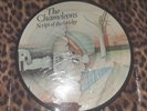 Mark Burgess / Chameleons  Vinyl - Script of the bridge VERY RARE - Picture disc