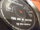 The Wild Colonials Get The Picture You Are My Destiny 60s 45 oz EA 4784