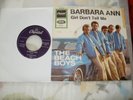 The Beach Boys Barbara Ann Car Cover