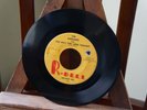 Jaguars-The Way You Look Tonight-R Dell Doo Wop 45 