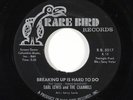 Sweet Soul 45 EARL LEWIS & THE CHANNELS Breaking Up Is Hard To Do on Rare Bird