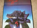 VINTAGE 1979 WARNER BROTHERS THIN LIZZY BLACK ROSE JIM FITZPATRICK POSTER