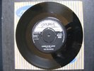THE DELICATES RONNIE IS MY LOVER / B&W THUNDERBIRD,HLT 8953