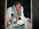 Elvis PresIey - The Elvis Files Vol 8 Book & Elvis The Movies Book BOTH BOOKS