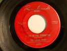 RARE Garage Fuzz 45 LEMON DROPS I Live In The Springtime REMBRANDT HEAR VG+