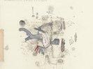 Midnight Organ Fight [Vinyl]